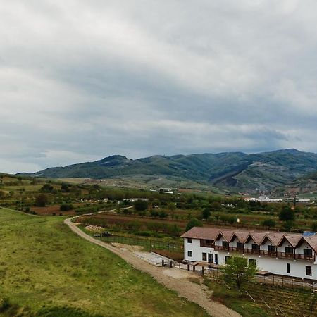 Pensiunea Casa Negrea Ighiu Экстерьер фото