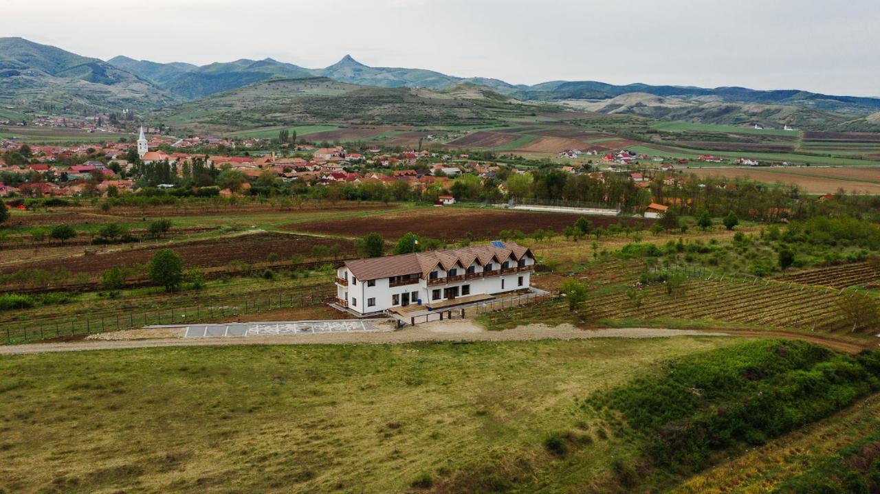 Pensiunea Casa Negrea Ighiu Экстерьер фото