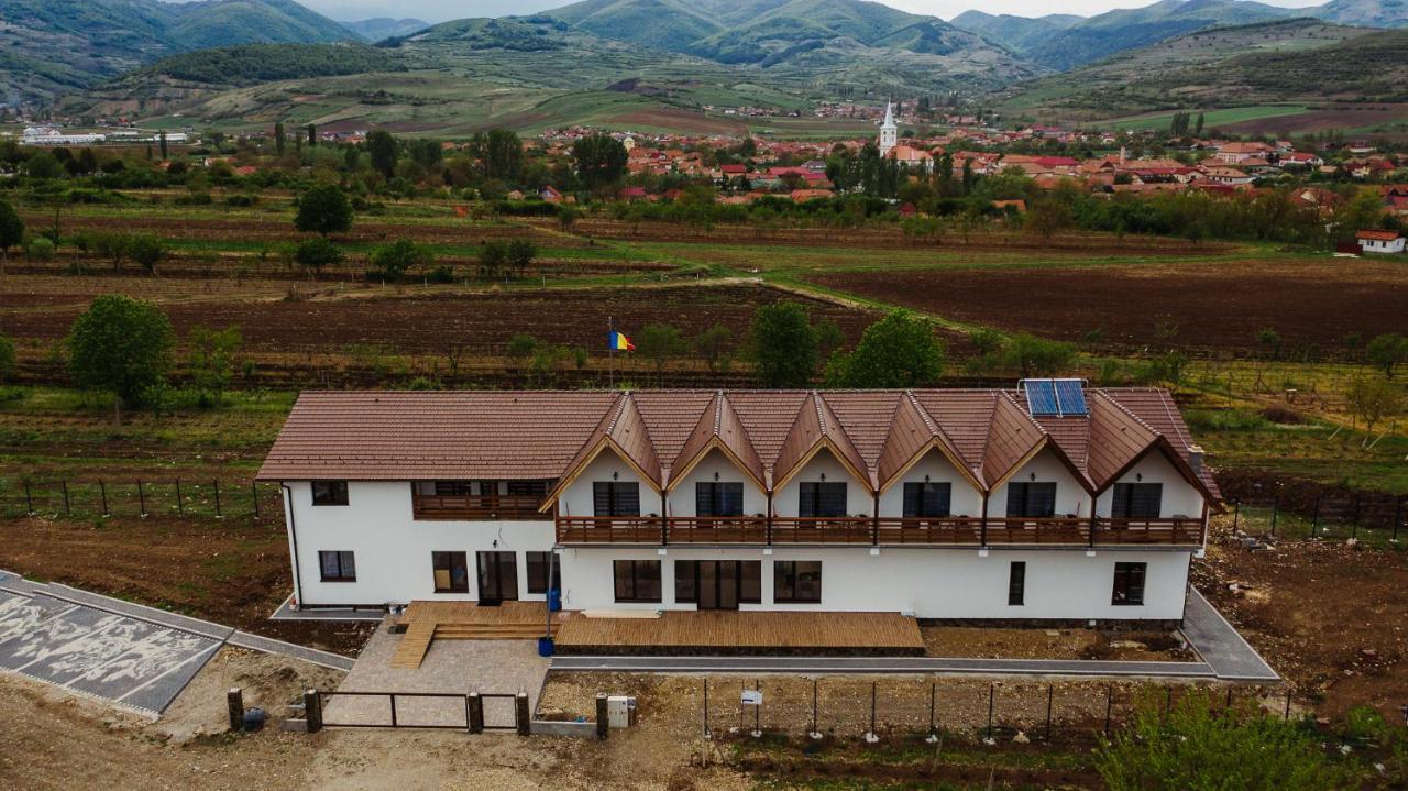 Pensiunea Casa Negrea Ighiu Экстерьер фото