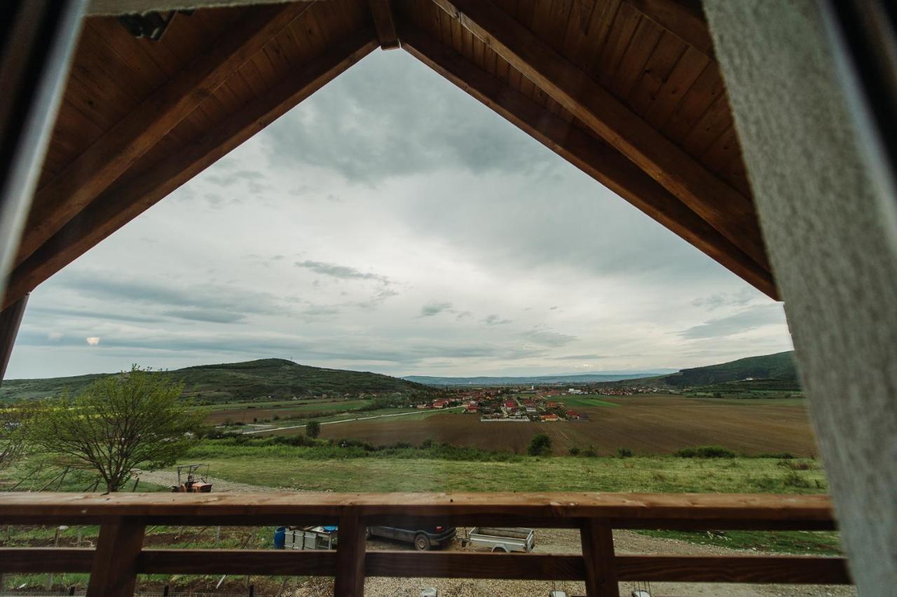 Pensiunea Casa Negrea Ighiu Экстерьер фото