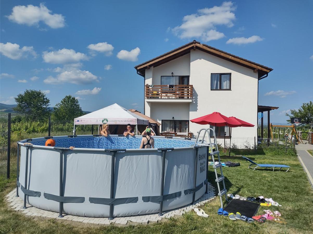 Pensiunea Casa Negrea Ighiu Экстерьер фото